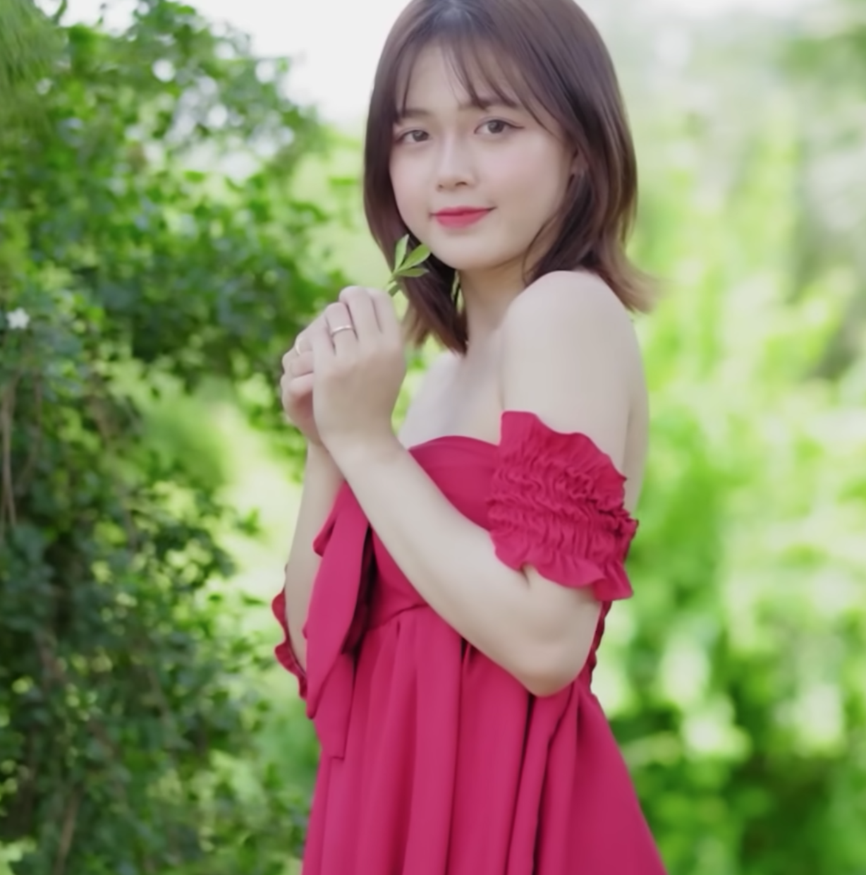 lĩnh vực hoạt động
